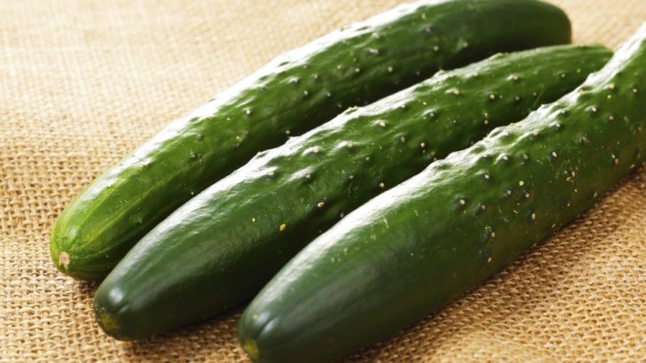 身近にあるギネス認定の野菜 実は夏野菜のきゅうり 朝礼ネタ 会社スピーチ 豆知識 雑学 仮想通貨 投資など